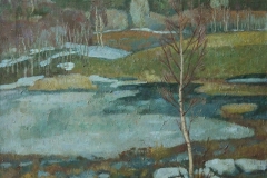 193.-DD¸D¼D°-NND¾D´D¸N-1998-65N80-ND¾DNN-D¼D°NDD¾-50-00000NND±